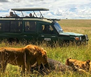 3-Day Masai Mara Luxury Safari, Saunterland Africa Tours