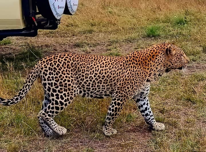 Gallery, Saunterland Africa Tours